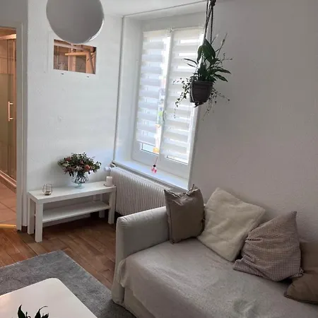Magnifique Duplex Tres Lumineux Avec Place De Parking *